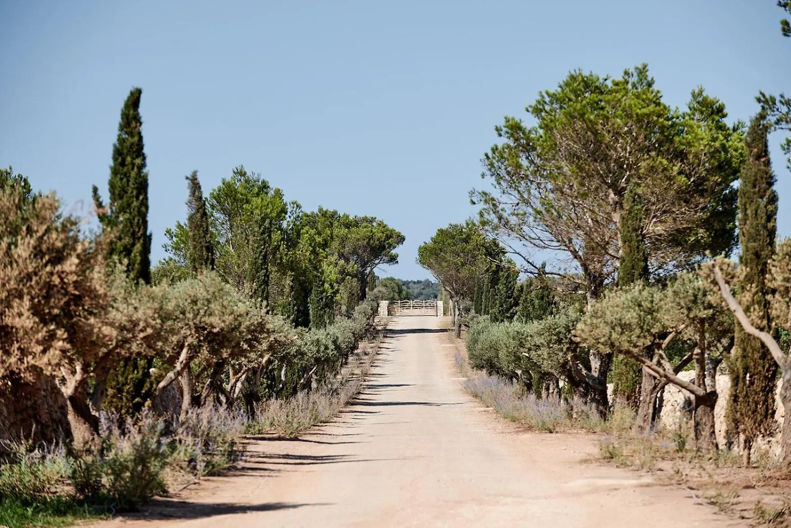 Cap Menorca Relais & Chateaux Son Bou 5*,